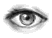 see